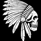 APACHE DECAL