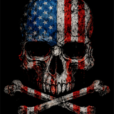 AMERICA SKULL DECAL