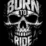 BORN DECAL