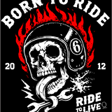 BORN RIDE DECAL