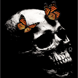 BUTTERFLY SKULL DECAL