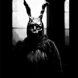 DARKO DECAL