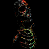 PAINT SKULL DECAL