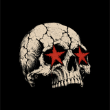 STAR SKULL DECAL
