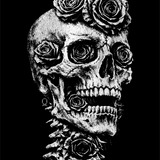 DEAD ROSE DECAL