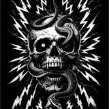 ELECTRIC SKULL DECAL