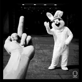 FU RABBIT DECAL