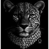 LEOPARD LUX DECAL