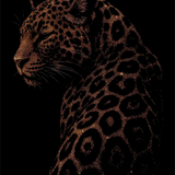 LEOPARD DECAL