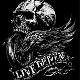 LIVE DECAL