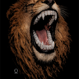 LOIN GRILL DECAL