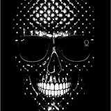 LEATHER SKULL DECAL