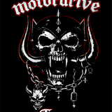 MOTORDRIVE DECAL