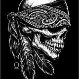 NATIVE OG DECAL