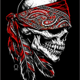 NATIVE RED OG DECAL