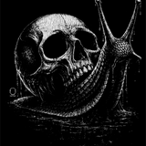 SNAIL DECAL