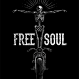 SOUL DECAL