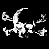 CROSSBONES SKULL DECAL