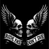 RIDE FAST DECAL