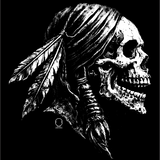 SAVAGE INDIAN DECAL