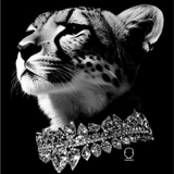 SILENT ROYALTY DECAL