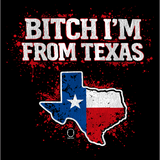 TEXAS DECAL