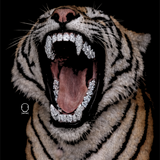 TIGER GRILL DECAL