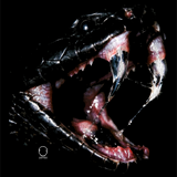 VENOM DECAL