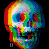 VIVID MIND SKULL FREQUENCY DECAL