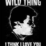 WILD DECAL