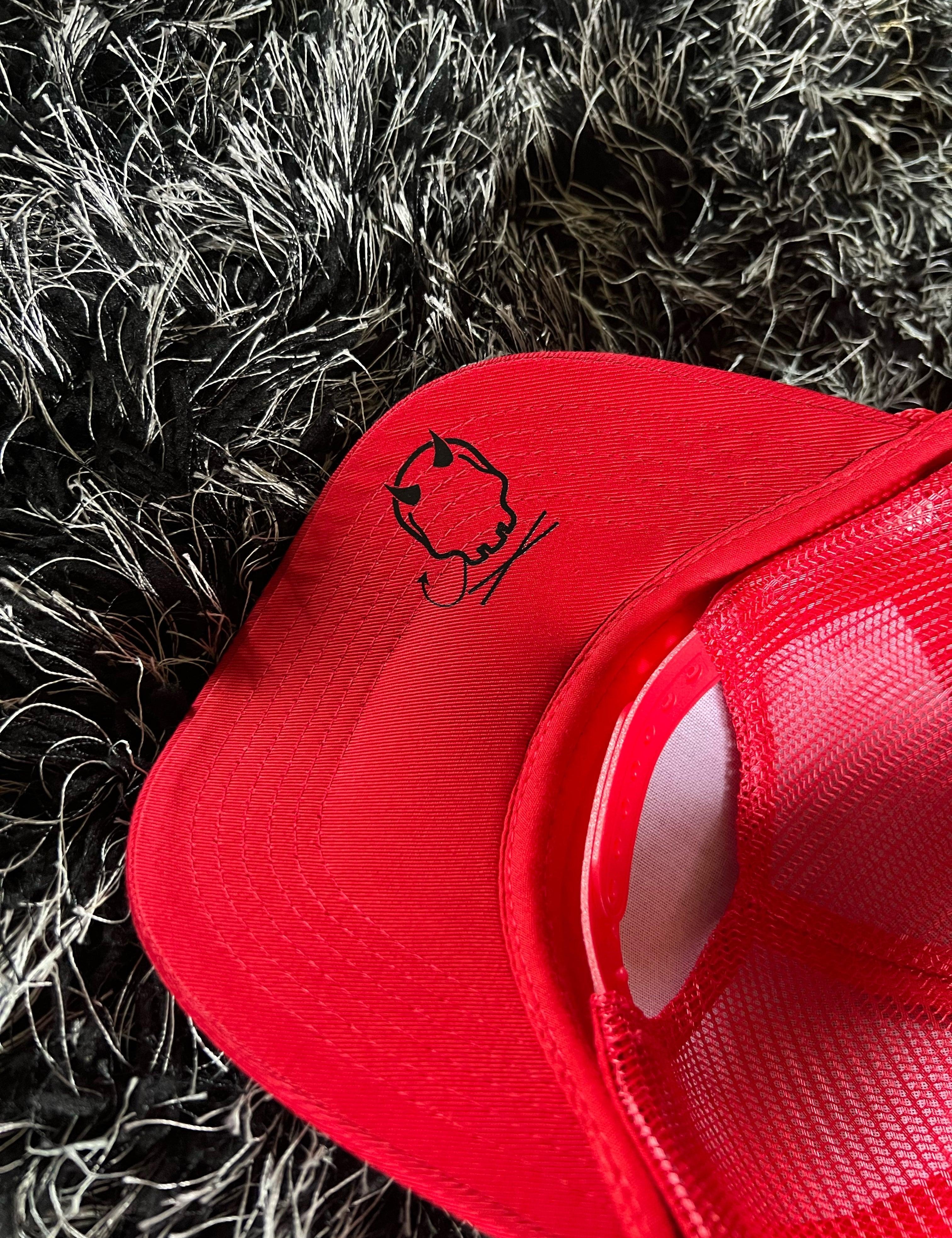 RAISING HELL CURVED BILL RED HAT - The Drive Clothing